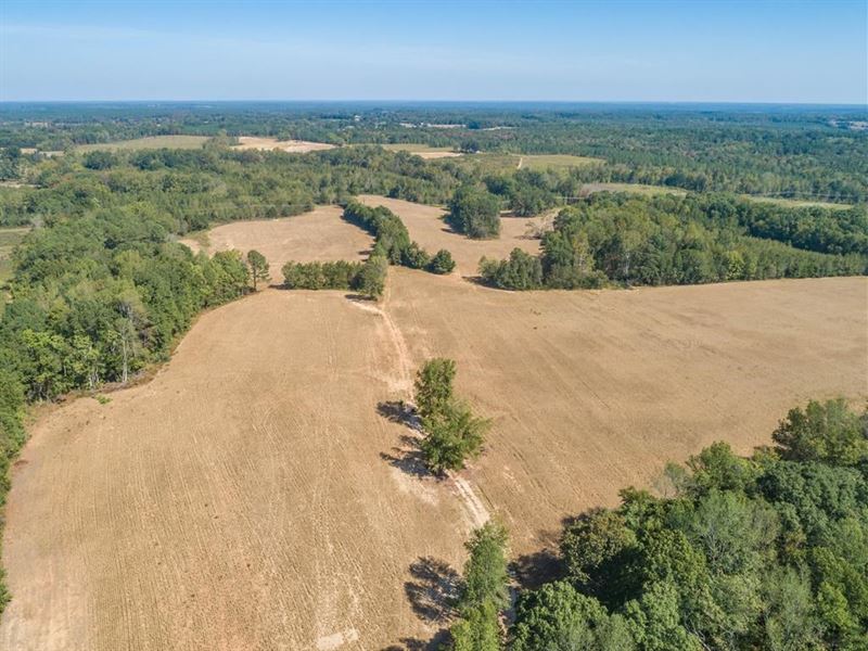 Farmland in Southern VA, Farm for Sale in Virginia, 218334 FARMFLIP