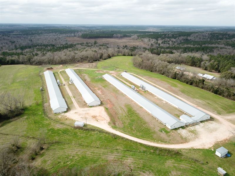 Walker Breeder Farms, Farm for Sale in Alabama, 218397 FARMFLIP