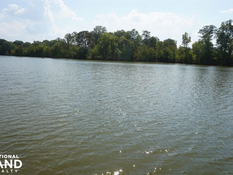 Shady Grove Plantation : York : Marengo County : Alabama