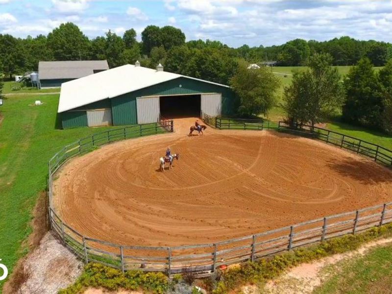Private Horse Training / Boarding : Alexis : Gaston County : North Carolina