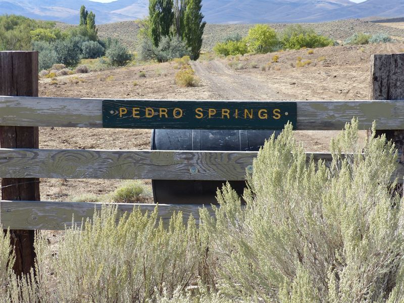 Pedro Springs, Fields Oregon, Farm for Sale in Oregon, 218638 FARMFLIP