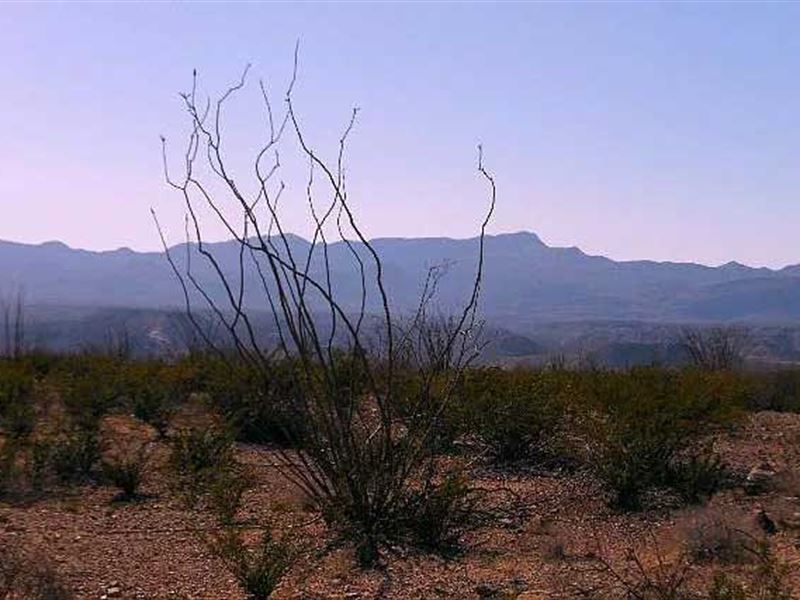 Ranch Land Creek Near Border, Farm for Sale by Owner in Texas, 218681 FARMFLIP