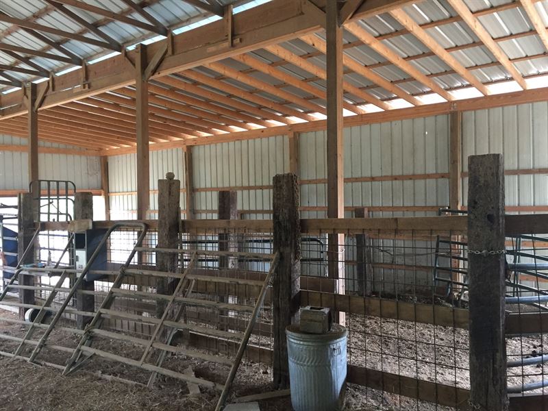 Court Ordered Estate Auction in TN, Farm for Sale in Tennessee, 218784