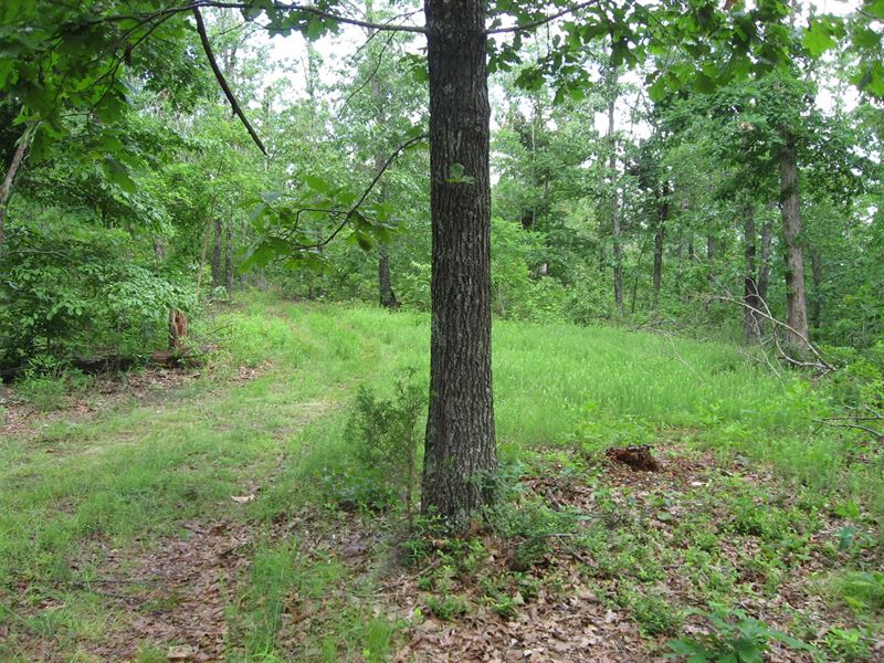 Land For Sale in The Ozarks Farm for Sale in Yellville, Marion County
