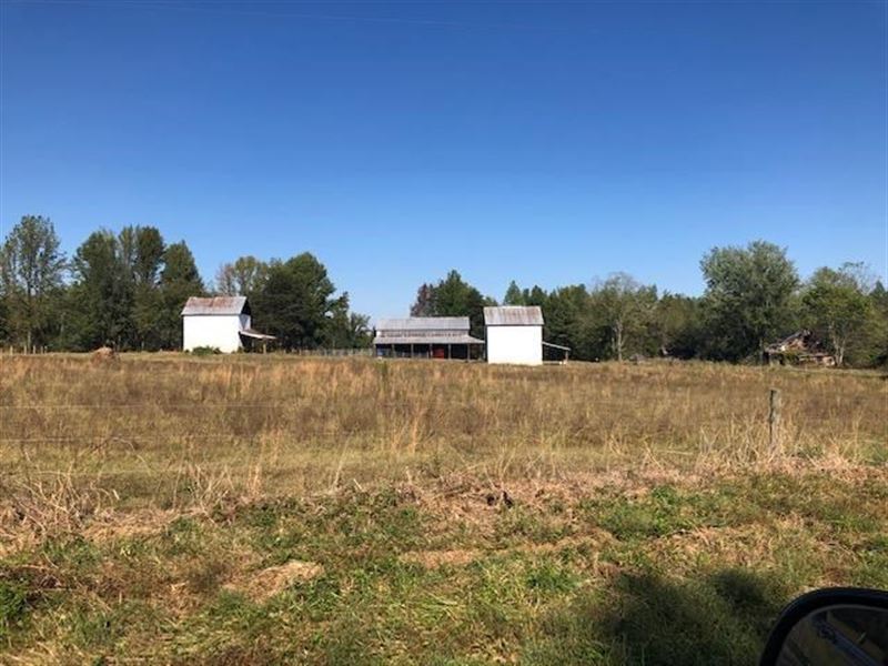 Cattle Farm Pittsylvania County, VA, Farm for Sale in Virginia, 218912