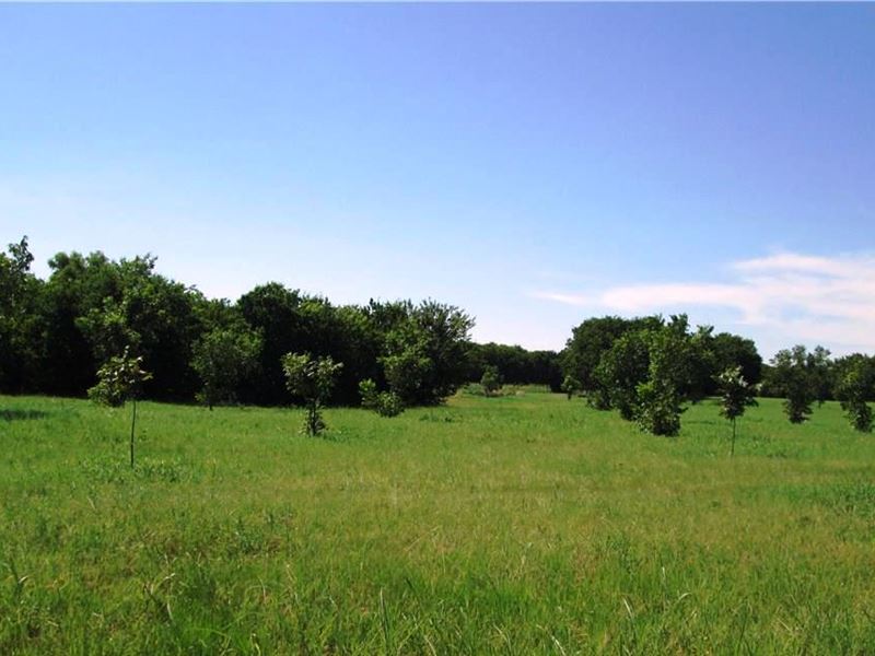Secluded Land with Pond, Farm for Sale in Texas, 219017 FARMFLIP