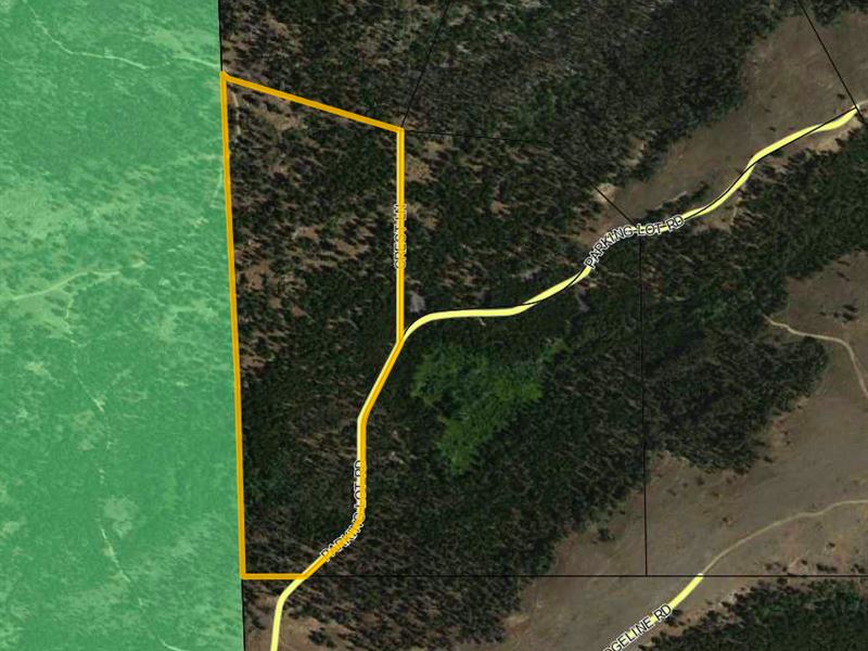 National Forest Lot 2 : Atlantic City : Fremont County : Wyoming