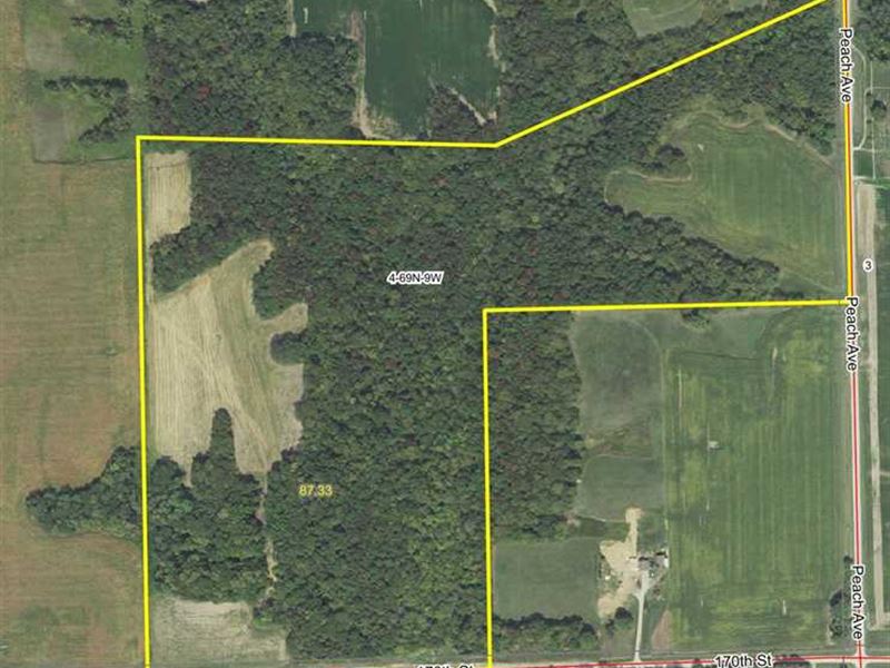 87.33 Acres Incredible Hunting Land, Farm for Sale in Iowa, 219039