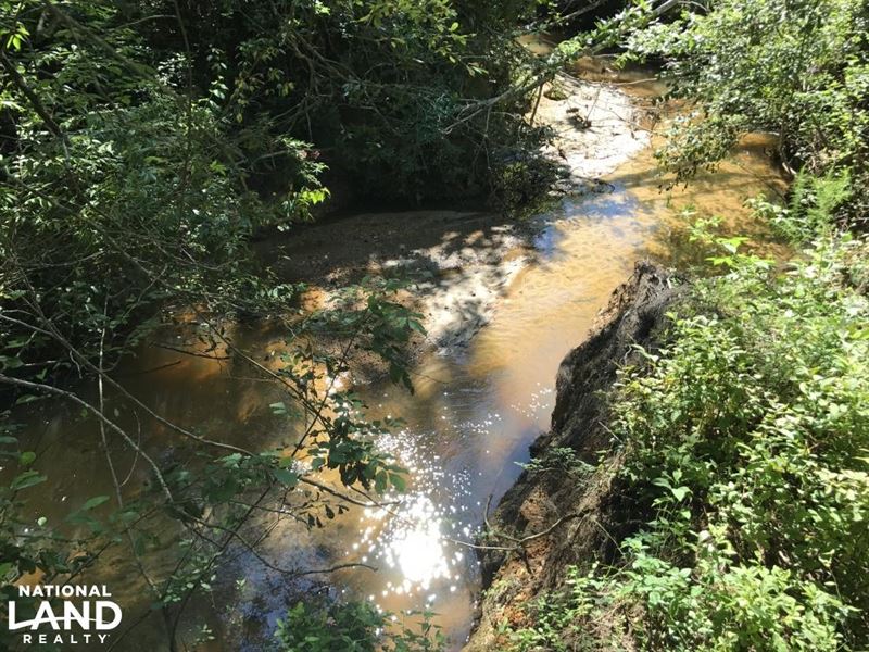 The Pigeon Creek Gosport Tract : Whatley : Clarke County : Alabama
