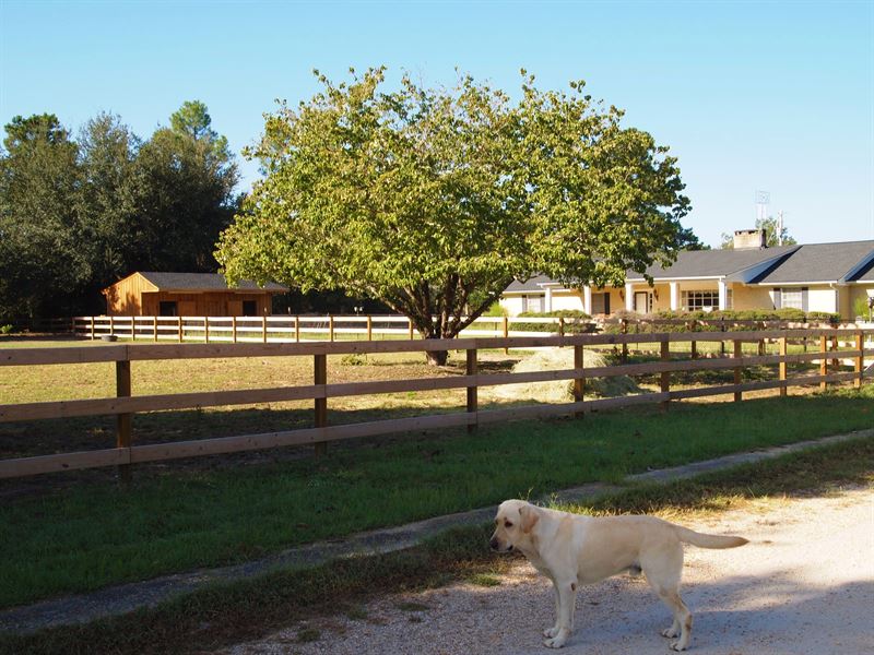 Beautiful 2 Home Cattle/Horse Farm, Farm for Sale by Owner in South