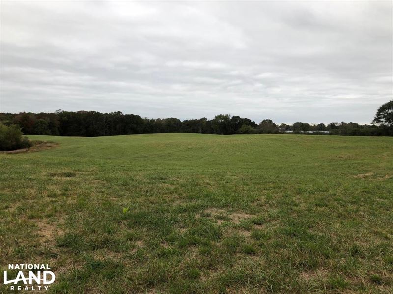 Gravel Hill Pasture Timber Investme : Phil Campbell : Franklin County : Alabama