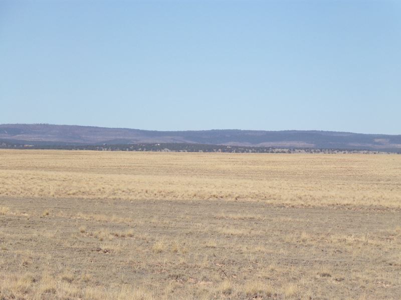 Farm & Ranch Land Estancia NM Water Farm for Sale in Estancia