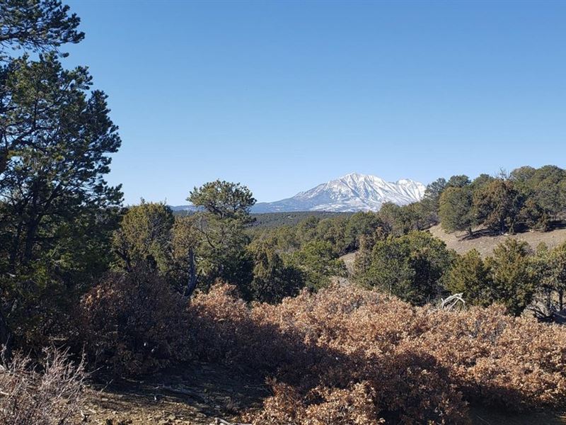 126 Silver Spurs Ranch : Walsenburg : Huerfano County : Colorado