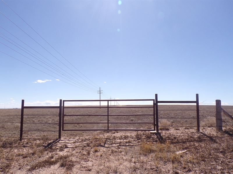 160 Acres New Mexico Grazing Land, Farm for Sale in New Mexico, 219416