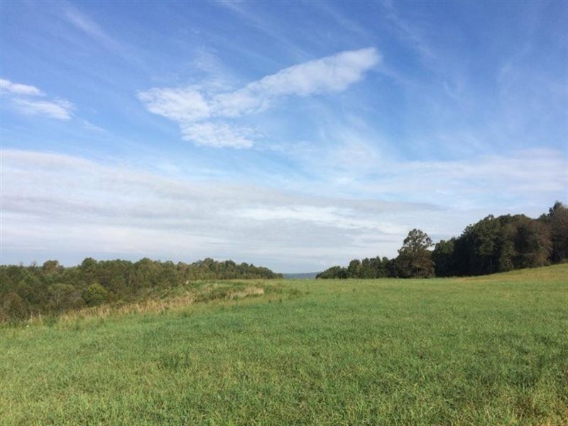 61.13 Acres Land Sell Carroll, Farm for Sale in Virginia, 219753
