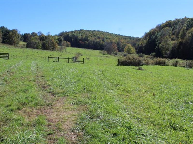 69.9 Acres Land Carroll County Farm for Sale in Laurel Fork, Carroll