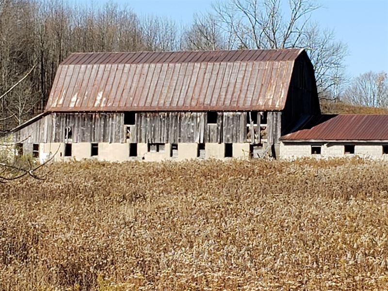 Hunting and Recreational Property, Farm for Sale in New York, 219892