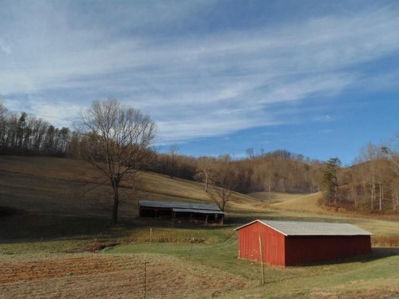 Farm Land with Barn Woolwine VA, Farm for Sale in Virginia, 219910