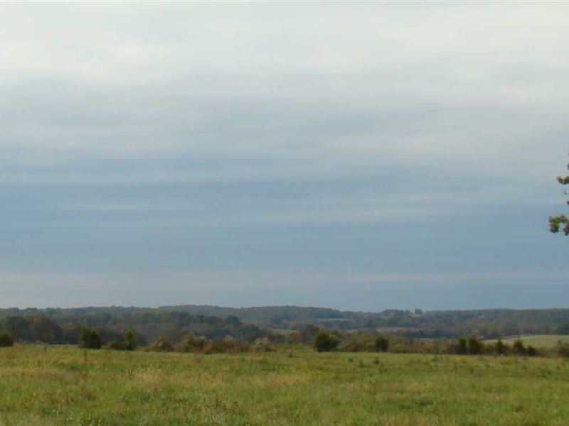 70 Acres of Pasture Ground with po : Norwood : Wright County : Missouri