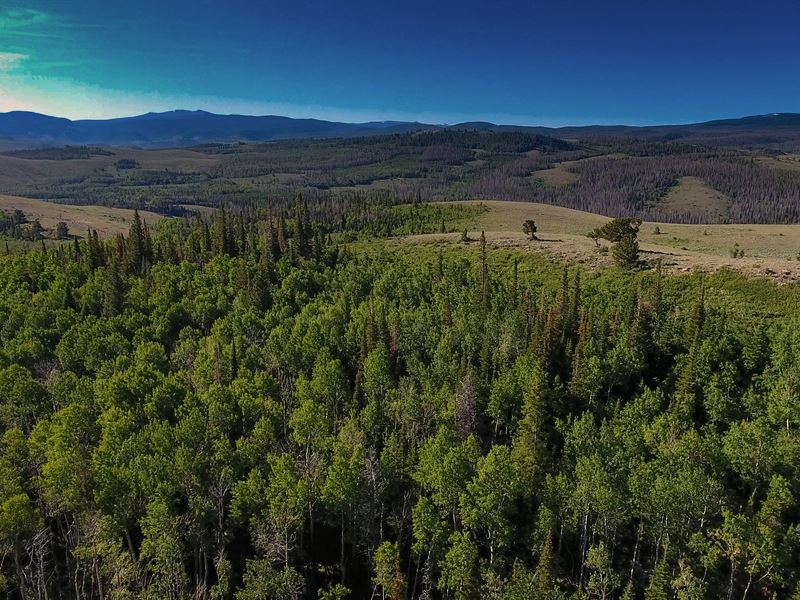 Sierra Madre Mountain Parcel 1, Farm for Sale in Wyoming, 220143