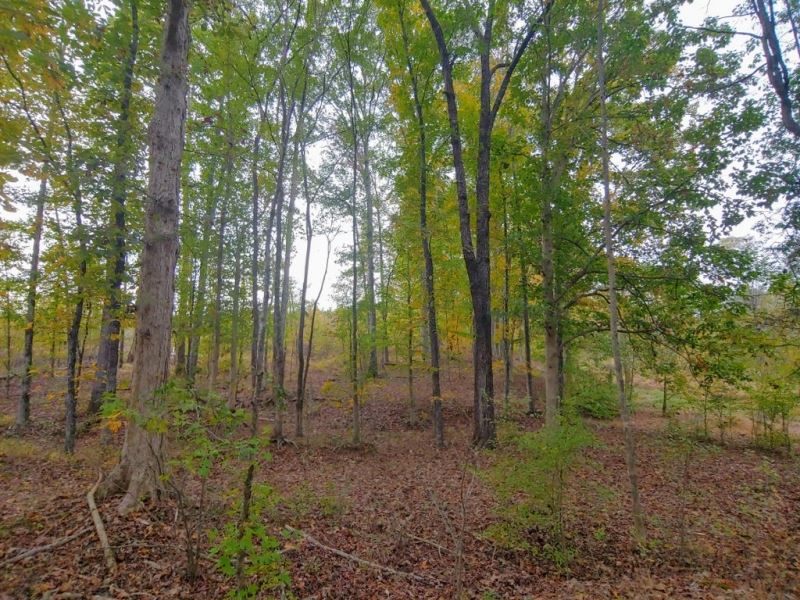 Affordable Acreage For Sale