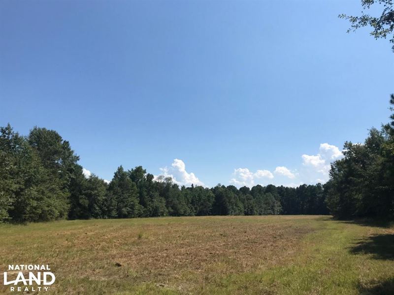 Lake Moultrie Hunting and Home Site, Farm for Sale in South Carolina