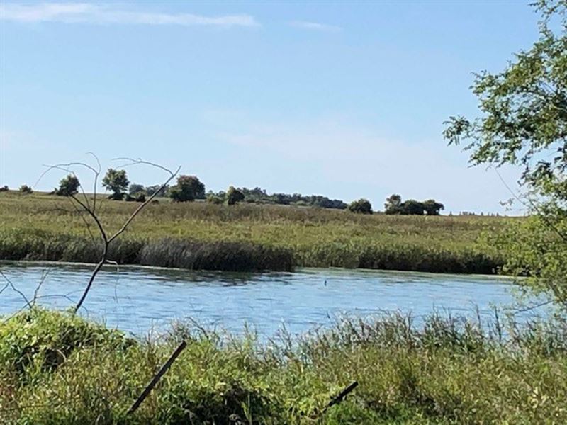 Hunting Property, Hobby Farm West, Farm for Sale in Minnesota, 220218