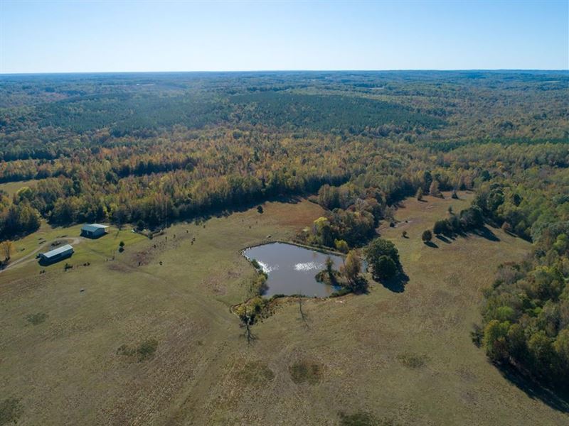 Stunning Acreage in Southern VA, Farm for Sale in Virginia, 220236