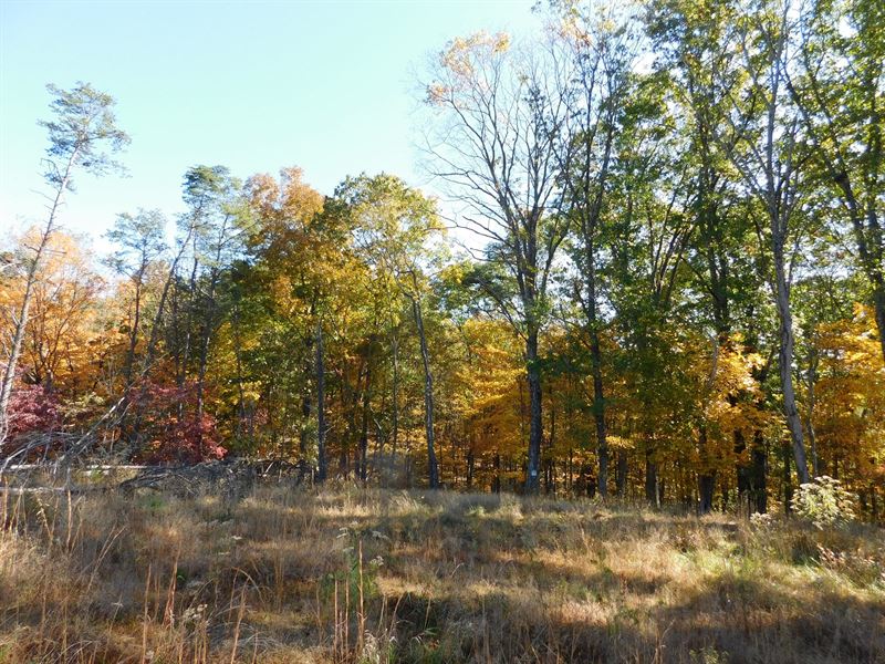 Oldtown MD Land for Sale, Farm for Sale in Maryland, 220347 FARMFLIP