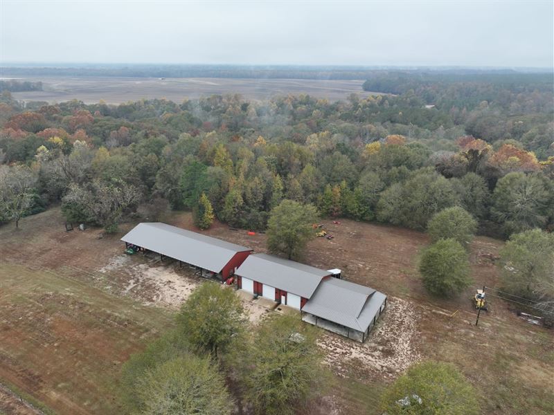 1,000 Acre Trophy Property in Bullo : Smuteye : Bullock County : Alabama