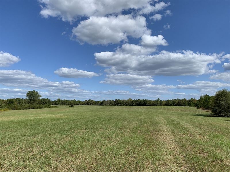 Cherry Creek Farm, Farm for Sale in Alabama, 220629 FARMFLIP