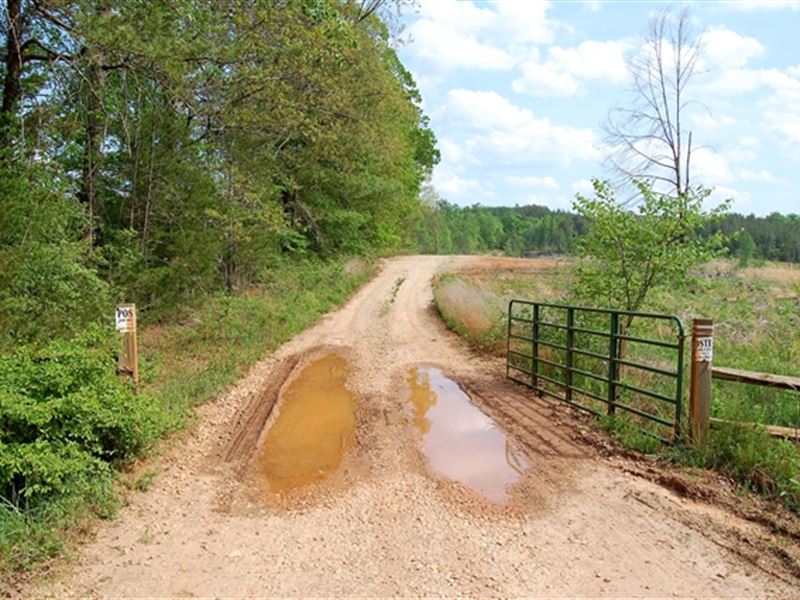 323.05 Acres in Appomattox, VA Farm for Sale in Appomattox