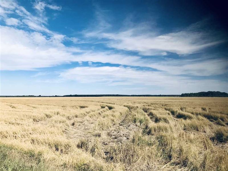 Bald Knob National Wildlife Refuge, Farm for Sale in Arkansas, 220709