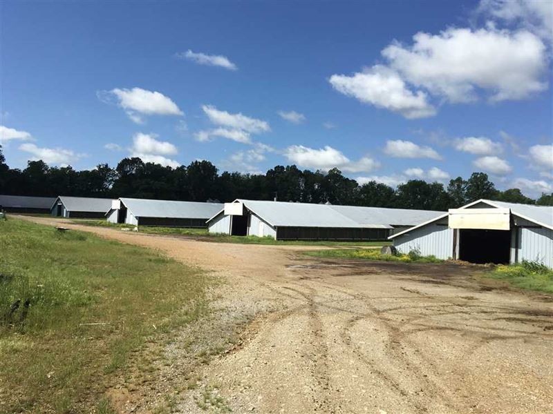 5 House Peco Poultry Farm, 38, Farm for Sale in Arkansas, 220713