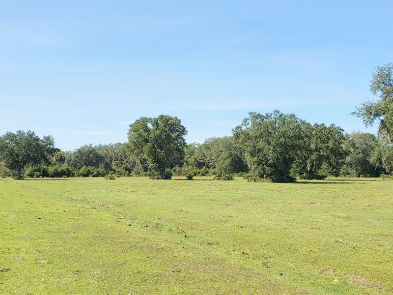 333Ac Ocala Lake Estates Waterfront, Farm for Sale in Florida, 220930