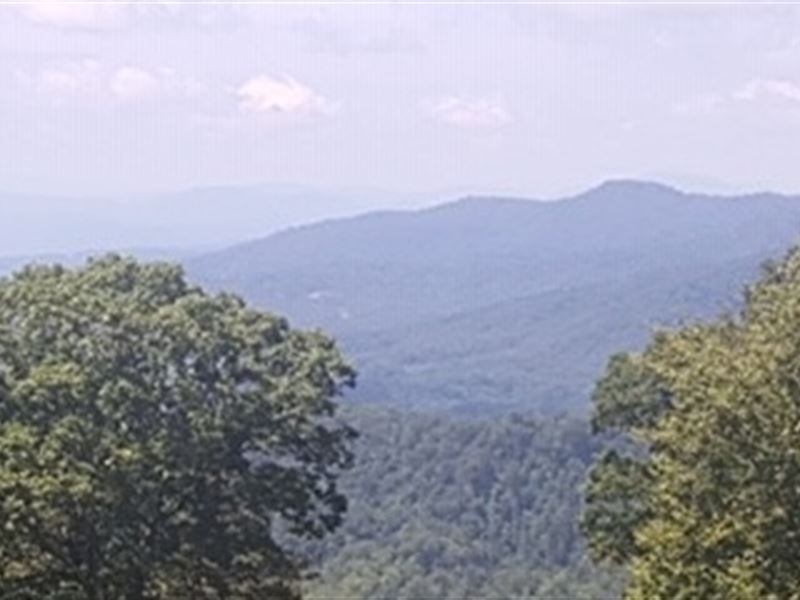 Lot Liquidation, Call for Special : Mars Hill : Madison County : North Carolina