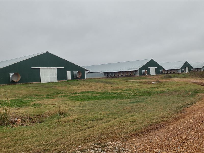 Mega House Broiler Farm Nw Arkansas : Decatur : Benton County : Arkansas