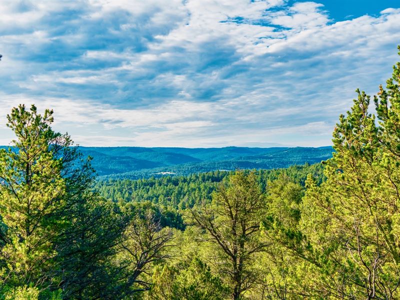 Lot with Electric & Road Frontage : Trinidad : Las Animas County : Colorado