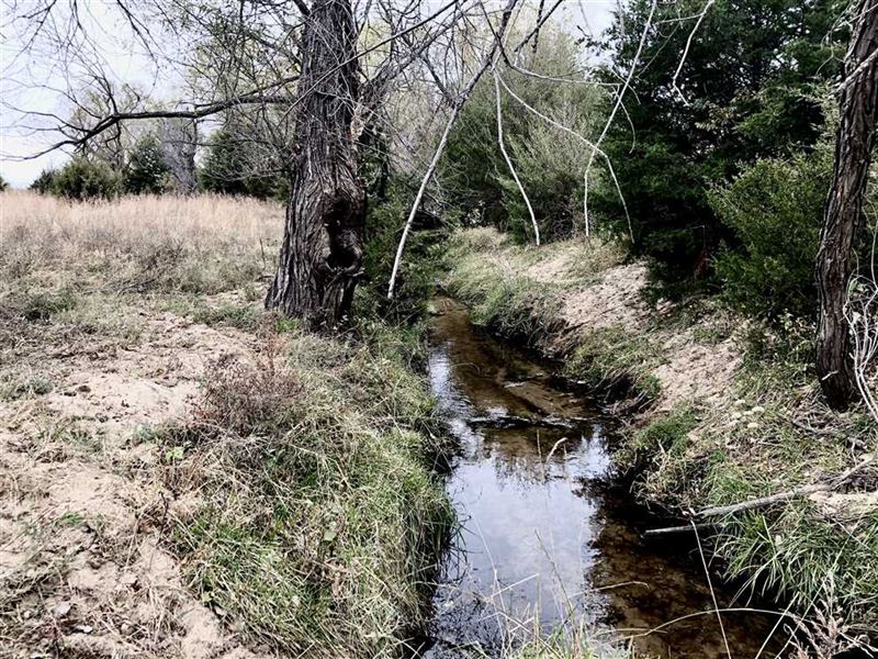80 Acres of Excellent Hunting : Canton : McPherson County : Kansas