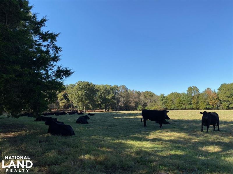 46 Acres of Farmland / Recreati : Crouse : Gaston County : North Carolina