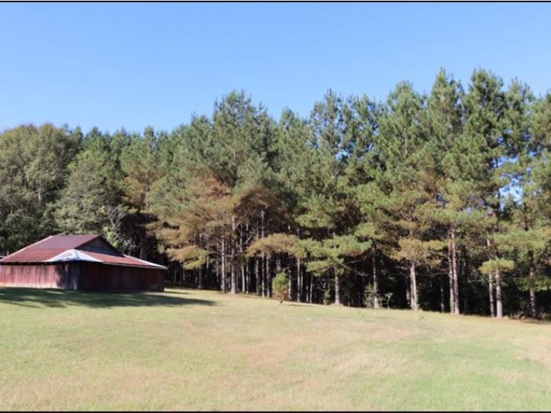 30 Acres In Neshoba County On Hwy 1 Farm for Sale in Philadelphia