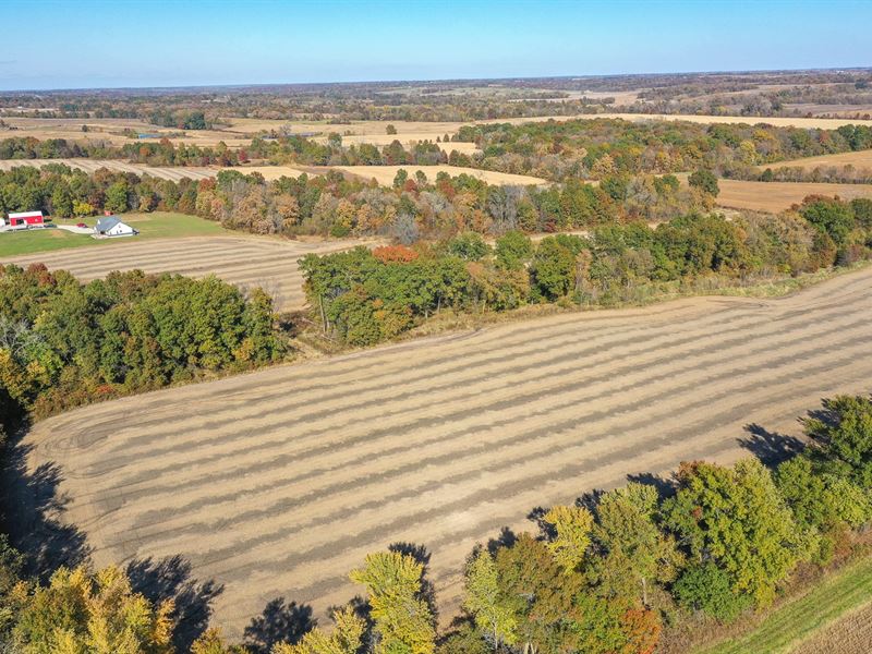 Custom Home, Producing Farm Farm for Sale in Trenton, Grundy