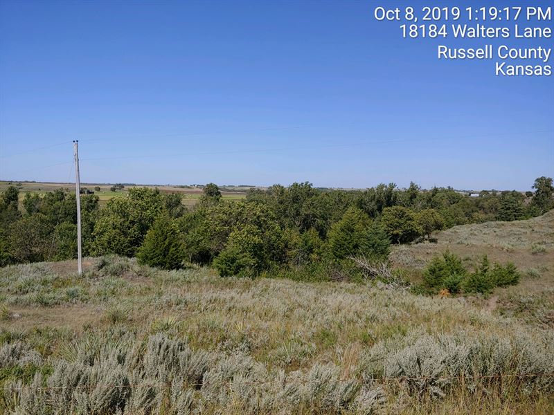 Smoky Hill River Hunting and Land : Russell : Russell County : Kansas