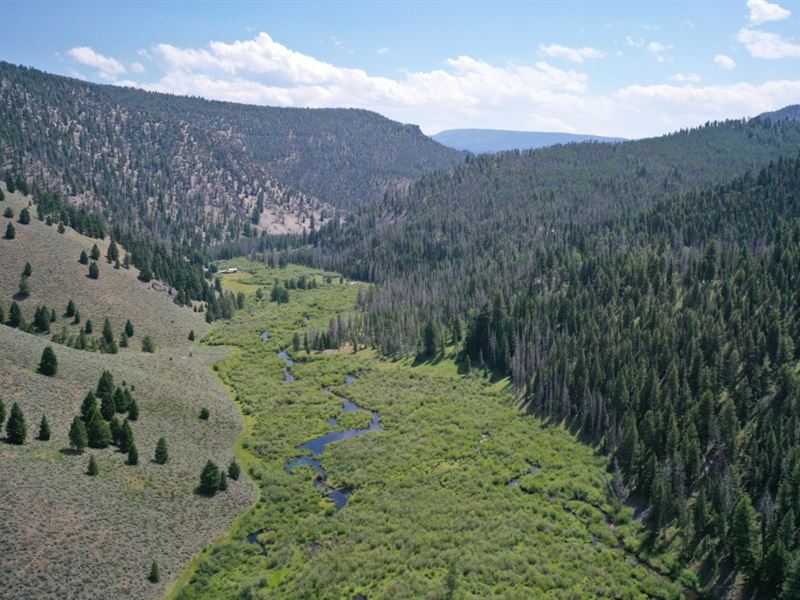 Indian Gulch Hunting Retreat : Shoup : Lemhi County : Idaho