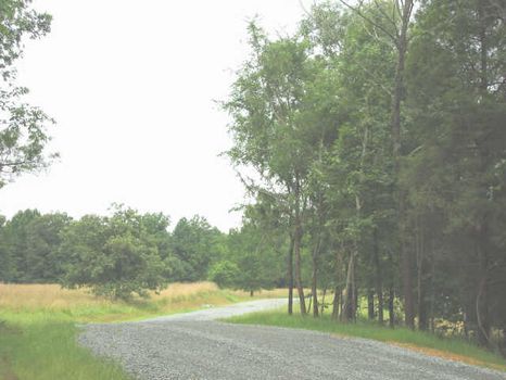 Build Your Own Farmette : Bear Creek : Chatham County : North Carolina