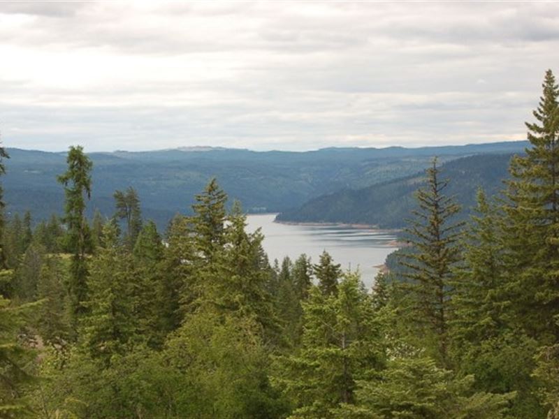 Wooded Subdivision Property, Farm for Sale in Idaho, 221430 FARMFLIP