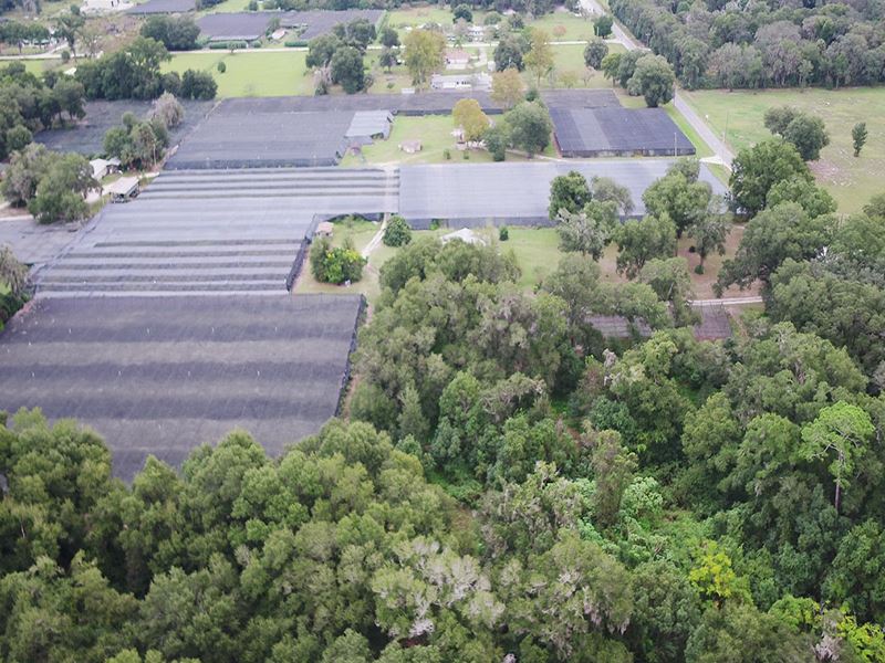 Potential Industrial Hemp Operation, Farm for Sale in Florida, 221476