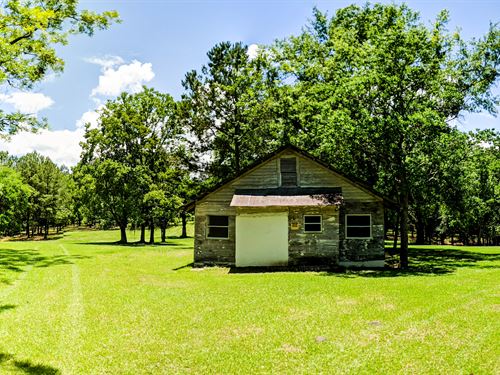 Florida Minifarm Farms for Sale : Find Minifarm Farmland ...