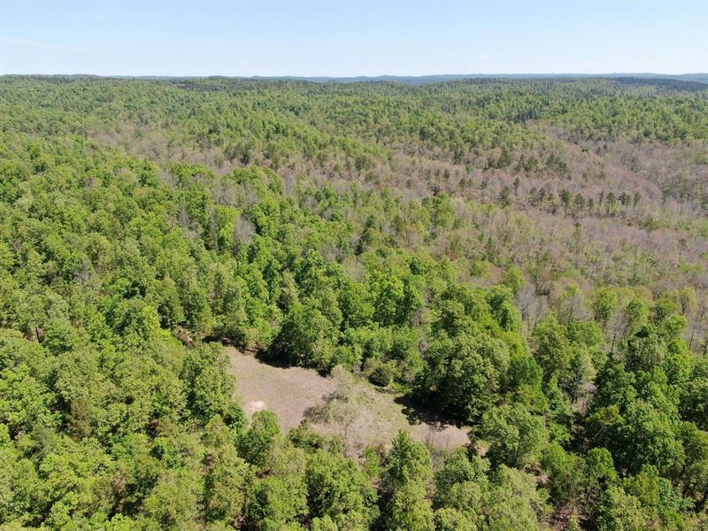 1,741 Acres in Harriet, AR, Farm for Sale in Arkansas, 221513 FARMFLIP