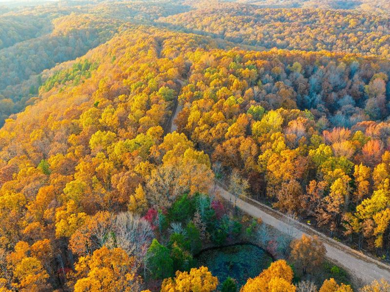 FiftySix 3 Farm for Sale in Fifty Six, Stone County, Arkansas